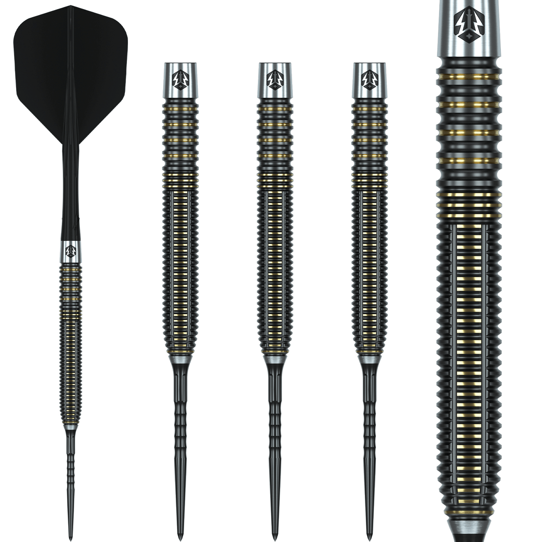 Caliburn V Series V2 Steeldarts Details