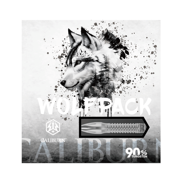 Caliburn Wolfpack W4 Steeldarts Packung