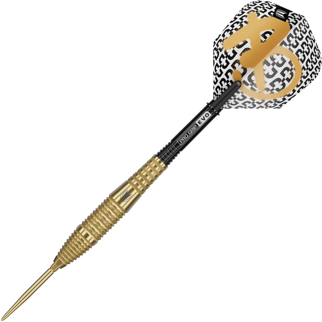 Target Bolide Envy 05 Swiss Point Steeldarts