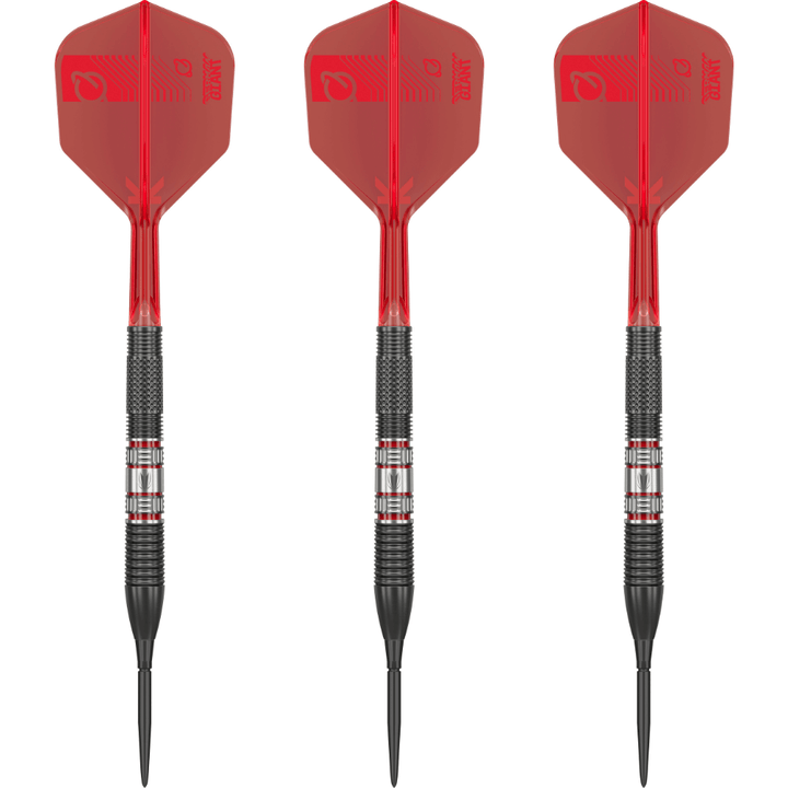 Target Gabriel Clemens 95K Swiss Point Steeldarts Set