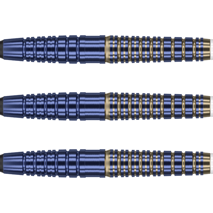 Target Japan Paul Lim Brass Softdarts Detail