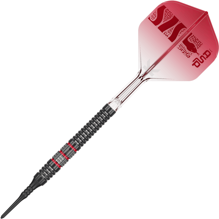Target Nathan Aspinall 95K Softdarts