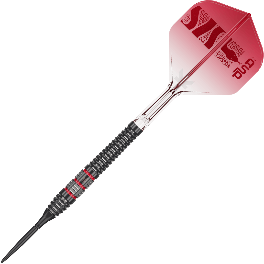 Target Nathan Aspinall 95K Swiss Point Steeldarts