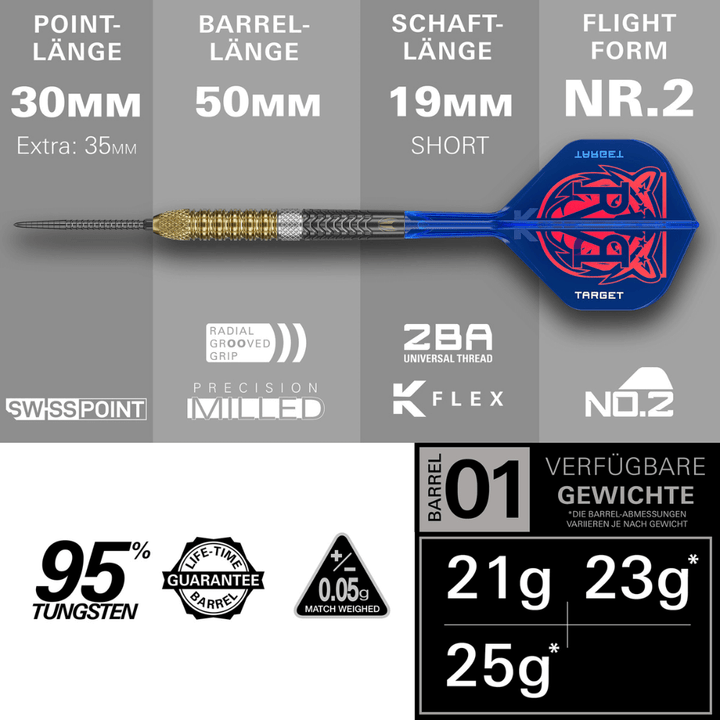 Target Raymond van Barneveld GEN6 Swiss Point Steeldarts Längen