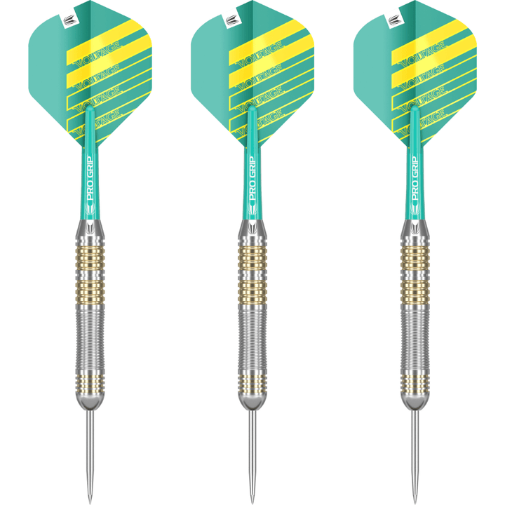 Target Rob Cross Brass Steeldarts Set
