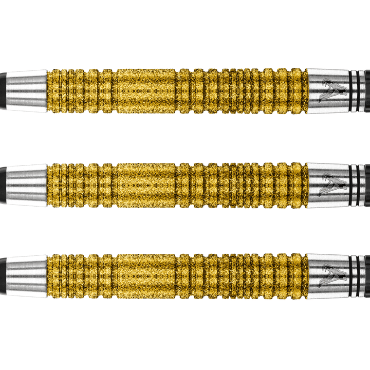 Red Dragon Peter Wright Double World Champion SE Gold Softdarts Detail 