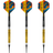 Red Dragon Peter Wright Double World Champion SE Gold Softdarts Set