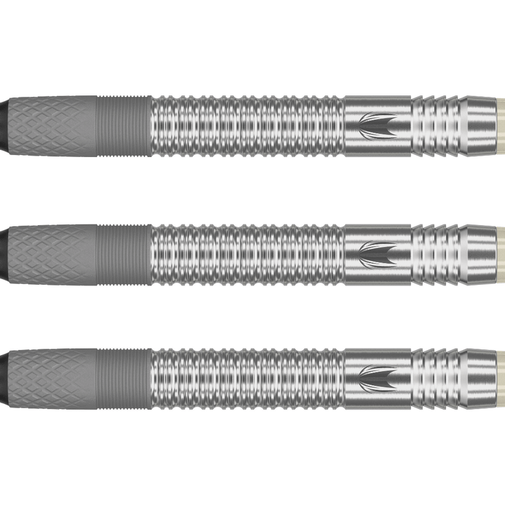 Target Dimitri van den Bergh G1 Softdarts Detail